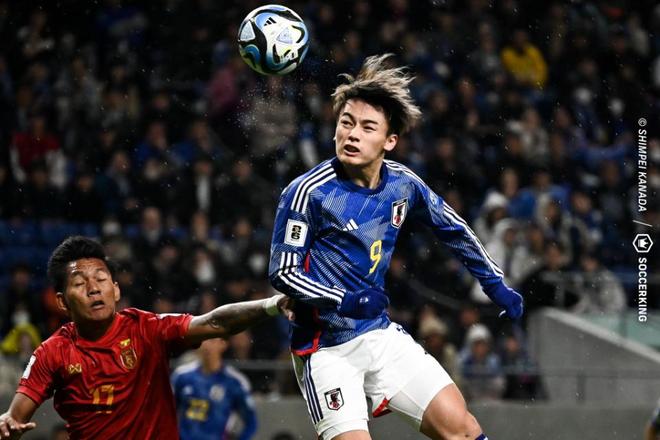 真正的分野 真正的分野